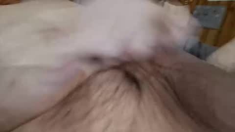 masturbator469658 online show from 11/07/25, 02:50