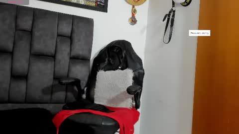 matt rodriguez92 online show from 07/11/26, 10:51