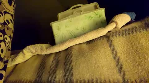 mattshadows667 online show from 01/20/25, 02:22