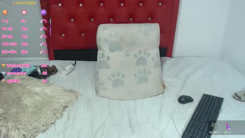 mature2023 online show from 11/25/25, 09:48