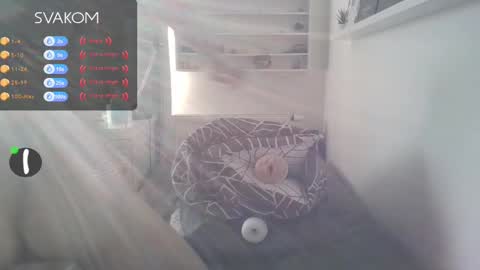 Matyas online show from 02/19/25, 08:12