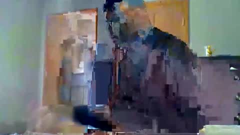 Snapshot of mauricescott chatting on 04/11/26, 08:13 mauricescott online show from 04/11/26, 08:13