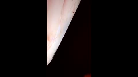 Snapshot of mausaa1199 chatting on 03/31/26, 03:19 mausaa1199 online show from 03/31/26, 03:19