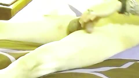 Snapshot of maxxflow chatting on 10/12/25, 11:42 maxxflow online show from 10/12/25, 11:42