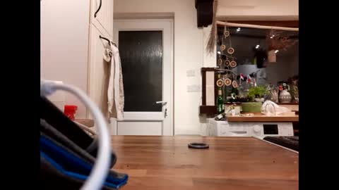 mccock16cm online show from 02/14/25, 03:11