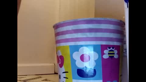 Snapshot of meaderd740870 chatting on 01/23/25, 04:19 meaderd740870 online show from 01/23/25, 04:19