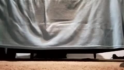 Snapshot of megacock420420 chatting on 12/10/24, 02:27 megacock420420 online show from 12/10/24, 02:27