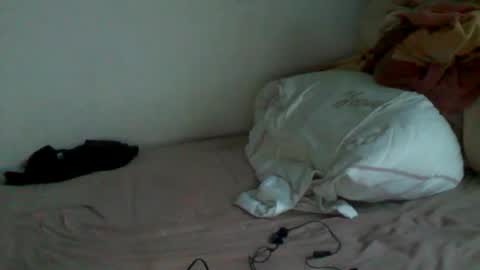 Snapshot of megamanp chatting on 12/15/24, 02:37 megamanp online show from 12/15/24, 02:37