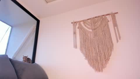 megan online show from 01/03/25, 10:51