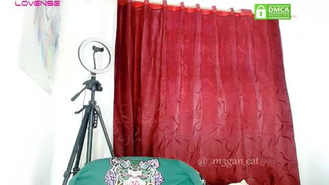 megan_cat online show from 11/07/25, 01:44