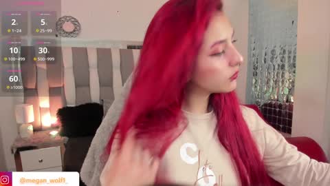 Snapshot of megan_wolf_1 chatting on 12/11/24, 11:00  Megan  Online 1200am To 600 am Colombian time online show from 12/11/24, 11:00