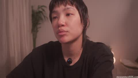 Snapshot of meganmei666 chatting on 05/19/26, 02:07 for more 3 online show from 05/19/26, 02:07