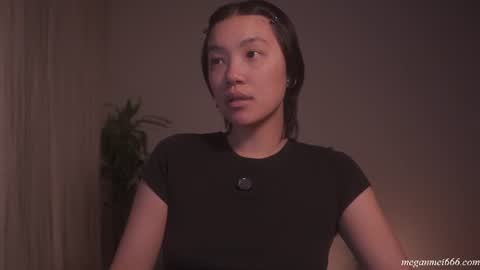 Snapshot of meganmei666 chatting on 07/14/26, 02:05 for more 3 online show from 07/14/26, 02:05
