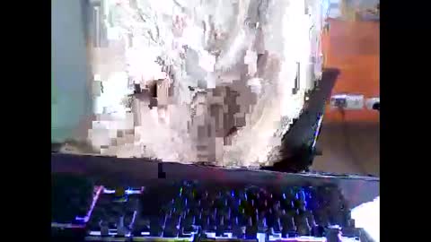 Snapshot of meks5544 chatting on 04/12/26, 11:15 meks5544 online show from 04/12/26, 11:15