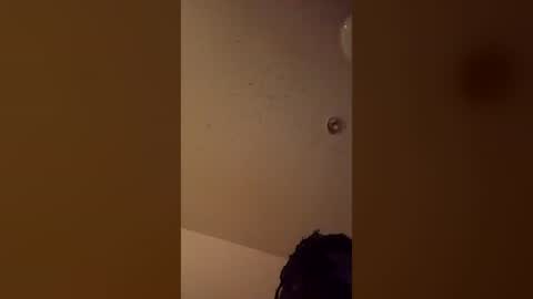 mel_hart_jr online show from 07/03/26, 10:32