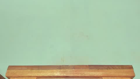 Melania online show from 03/01/25, 06:24