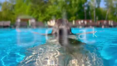 Snapshot of melanybunny chatting on 12/12/24, 03:27 Adel online show from 12/12/24, 03:27