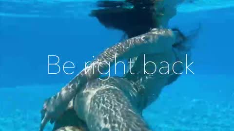 Snapshot of melanybunny chatting on 09/15/25, 02:50 Adel online show from 09/15/25, 02:50