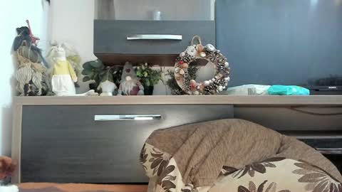 MellyMell  online show from 01/08/25, 10:58