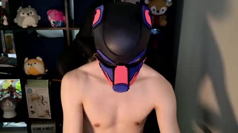 MellPUP online show from 05/30/26, 05:10