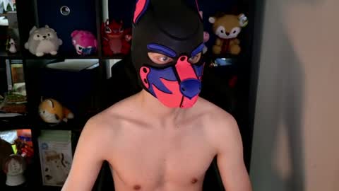 MellPUP online show from 06/08/26, 08:42