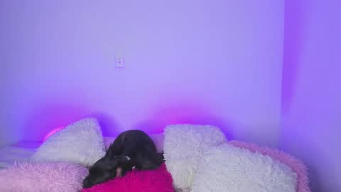 Snapshot of melody__77 chatting on 02/15/25, 04:36 online show from 02/15/25, 04:36