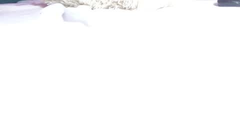 melody_mercy online show from 03/12/25, 03:07