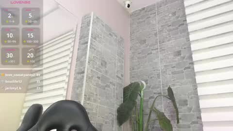     online show from 06/07/26, 11:25