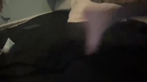 melt13 online show from 10/13/25, 12:05