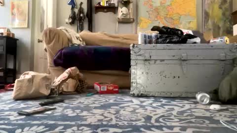 melt13 online show from 04/21/26, 02:45