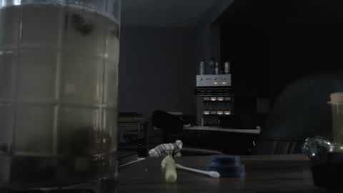 Snapshot of memberjames chatting on 10/21/25, 12:44 I am usually high and horny...lol online show from 10/21/25, 12:44