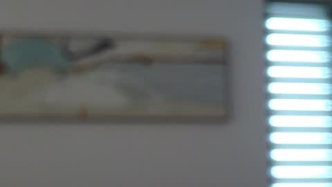 Mencialo online show from 05/10/26, 04:39