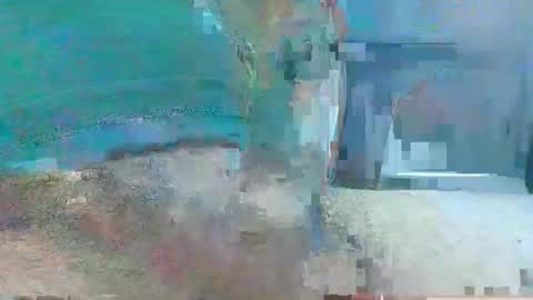 Snapshot of menuke chatting on 12/01/24, 11:36 Manuke online show from 12/01/24, 11:36