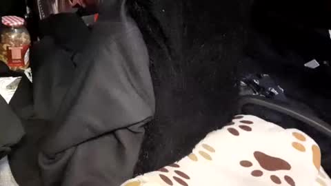 Snapshot of menyy666 chatting on 01/24/25, 04:16 Giorggio Fragacci online show from 01/24/25, 04:16