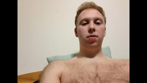 meow732 online show from 10/25/25, 12:51