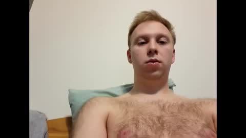 meow732 online show from 11/01/25, 07:05