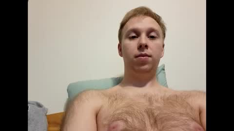 meow732 online show from 11/02/25, 07:49