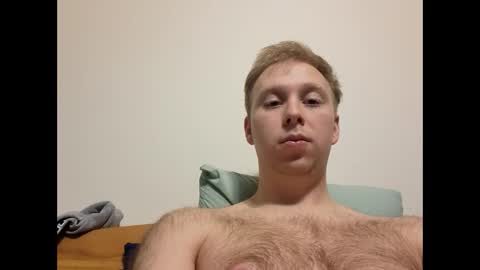 meow732 online show from 11/16/25, 09:04