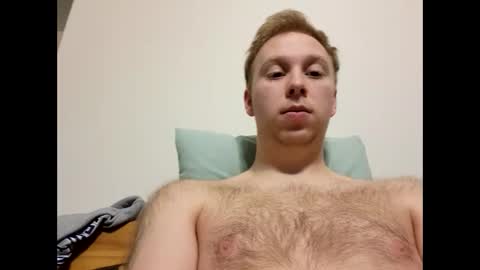 meow732 online show from 11/17/25, 09:15