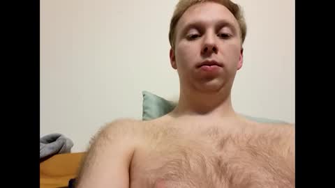 meow732 online show from 11/20/25, 02:01