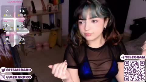 Snapshot of meraki_fraise chatting on 07/22/26, 09:28 online show from 07/22/26, 09:28