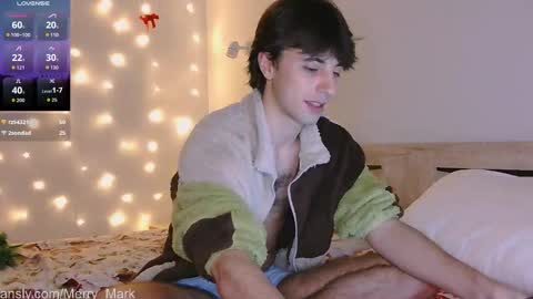 Snapshot of merry_mark chatting on 01/15/26, 08:56 Mark online show from 01/15/26, 08:56