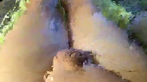 Snapshot of mewade chatting on 01/08/25, 01:42 Wade online show from 01/08/25, 01:42