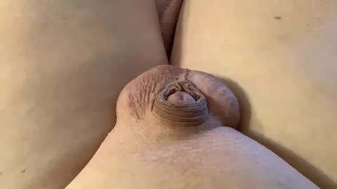 Snapshot of mewade chatting on 01/28/25, 07:21 Wade online show from 01/28/25, 07:21