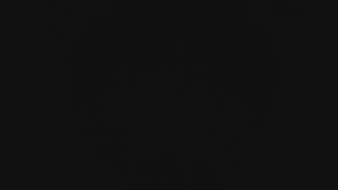 Snapshot of mewade chatting on 02/13/26, 11:28 Wade online show from 02/13/26, 11:28