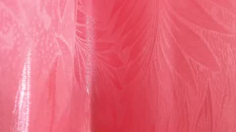 Snapshot of mia_nova5 chatting on 07/05/26, 11:50 mia_nova5 online show from 07/05/26, 11:50