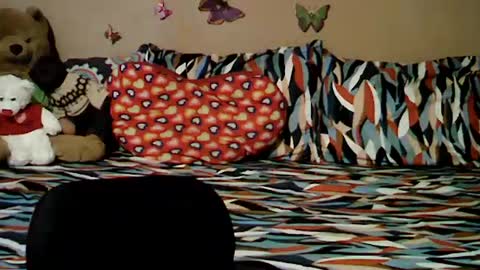 mia_rein online show from 06/26/26, 06:29