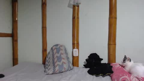 Mia  Sam online show from 03/01/25, 09:04