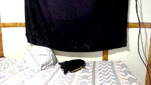 Mia  Sam online show from 12/16/25, 04:01