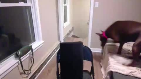 miamak online show from 12/20/25, 02:07